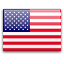 US flag icon